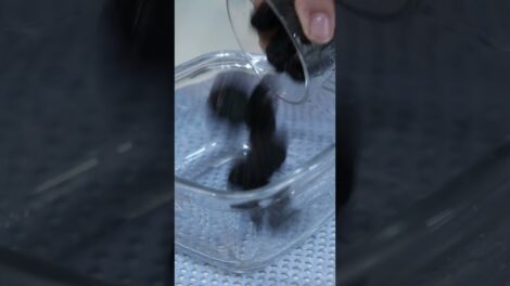 Manjar de Coco Sem Amido – Pronto em Poucos Minutos